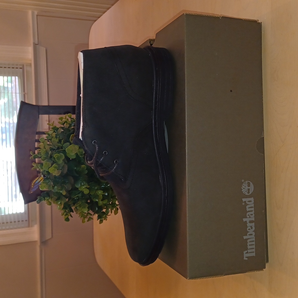 Timberland men's shoe